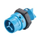Wieland - embase male RST16i2 bleu clair