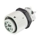 Wieland - embase femelle RST16i4 gris