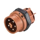 Wieland - embase mâle RST16i5 marron