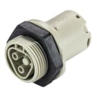 Wieland - embase RST20i2 M25 femelle à ressort Gris foncé