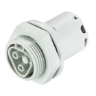 Wieland - embase RST20i2 M25 femelle à ressort Gris clair ATEX