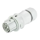 Wieland - connecteur RST20i2 femelle à vis double 6-10mm Gris clair ATEX