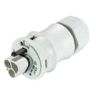 Wieland - connecteur RST20i2 mâle à ressort 6-10mm Gris clair ATEX