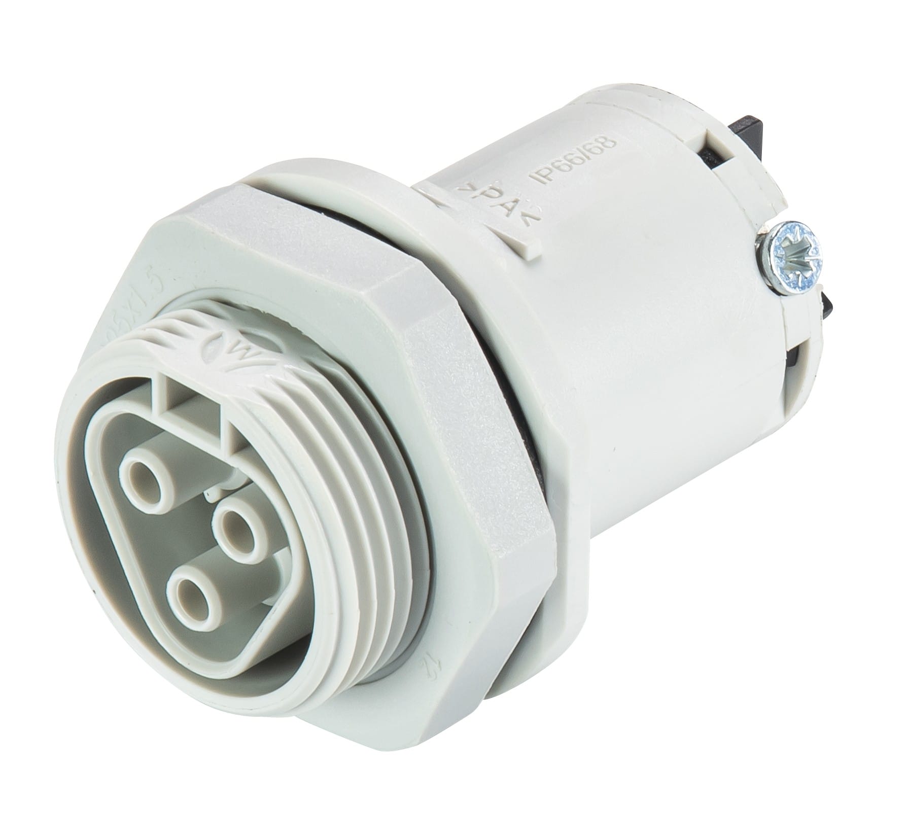 Wieland - embase RST20i3 femelle M25 à vis Gris clair