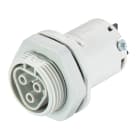 Wieland - embase RST20i3 femelle M25 à vis Gris clair