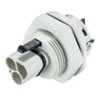 Wieland - embase RST20i3 mâle M25 à vis Gris clair ATEX