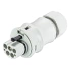 Wieland - connecteur RST20i4 mâle à vis 10-14mm Gris clair ATEX