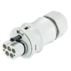 Wieland - connecteur RST20i5 mâle à vis 10-14mm Gris clair ATEX