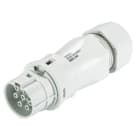 Wieland - Con. RST20i7 droit femelle à vis simple 13-18mm gris