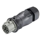 Wieland - connecteur RST25i3 femelle à vis 13-18mm Gris