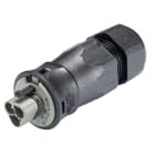 Wieland - connecteur RST25i3 mâle à vis 13-18mm Gris