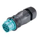 Wieland - connecteur RST20i5 femelle à vis 13-18mm Turquoise