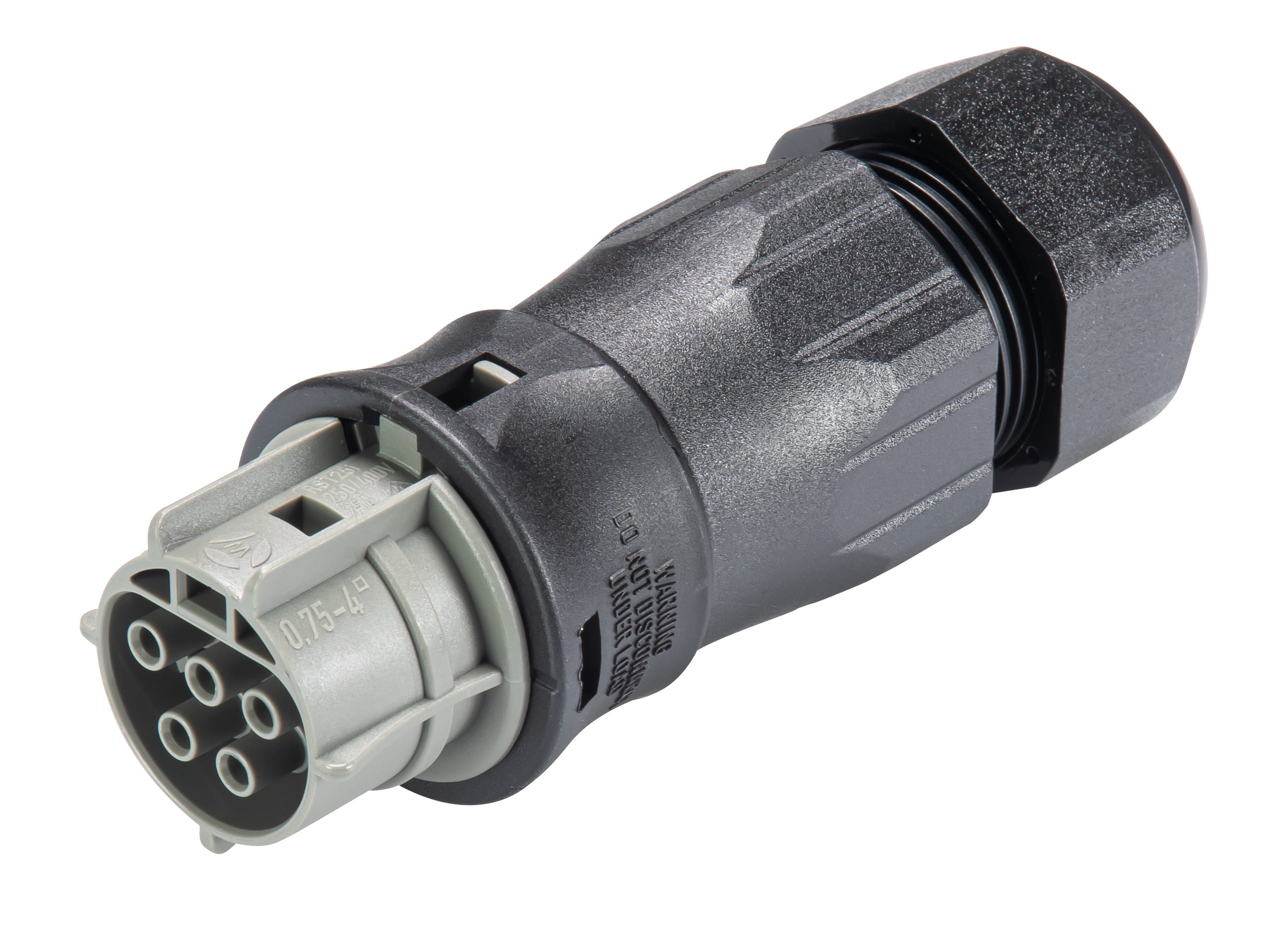 Wieland - connecteur RST25i5 femelle à vis 13-18mm Gris