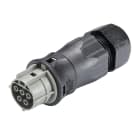 Wieland - connecteur RST25i5 femelle à vis 13-18mm Gris