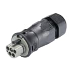 Wieland - connecteur RST25i5 mâle à vis 13-18mm Gris