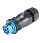 Wieland - Con. RST20i7 droit mâle à vis simple 13-18mm bleuclair