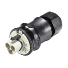 Wieland - connecteur RST20i2 mâle à ressort 6-10mm Gris foncé