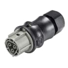 Wieland - connecteur RST25i3 femelle à vis 10-14mm Gris