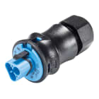 Wieland - connecteur RST20i3 mâle à vis 6-10mm Bleu clair