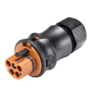 Wieland - connecteur RST20i5 mâle à vis 6-10mm marron ATEX