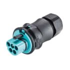Wieland - connecteur RST20i5 mâle à vis 6-10mm Turquoise ATEX