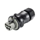 Wieland - connecteur RST25i5 mâle à vis 6-10mm Gris