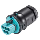 Wieland - embase RST20i5 mâle à vis M20 Turquoise