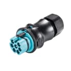 Wieland - Con. RST20i7 droit mâle à vis simple 10-14mm turquoise