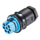 Wieland - Embase RST20i7 M20 mâle à vis bleu clair