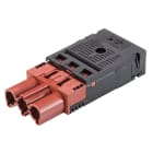 Wieland - connecteur GST18i3 mâle à ressort Marron