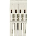 Wieland - socket plug wbf 2,5-5