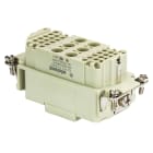 Wieland - female insert pow buc 6/36 df-insert femelle