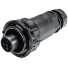 Wieland - connecteur RST50i4 femelle à vis 15-25mm Noir