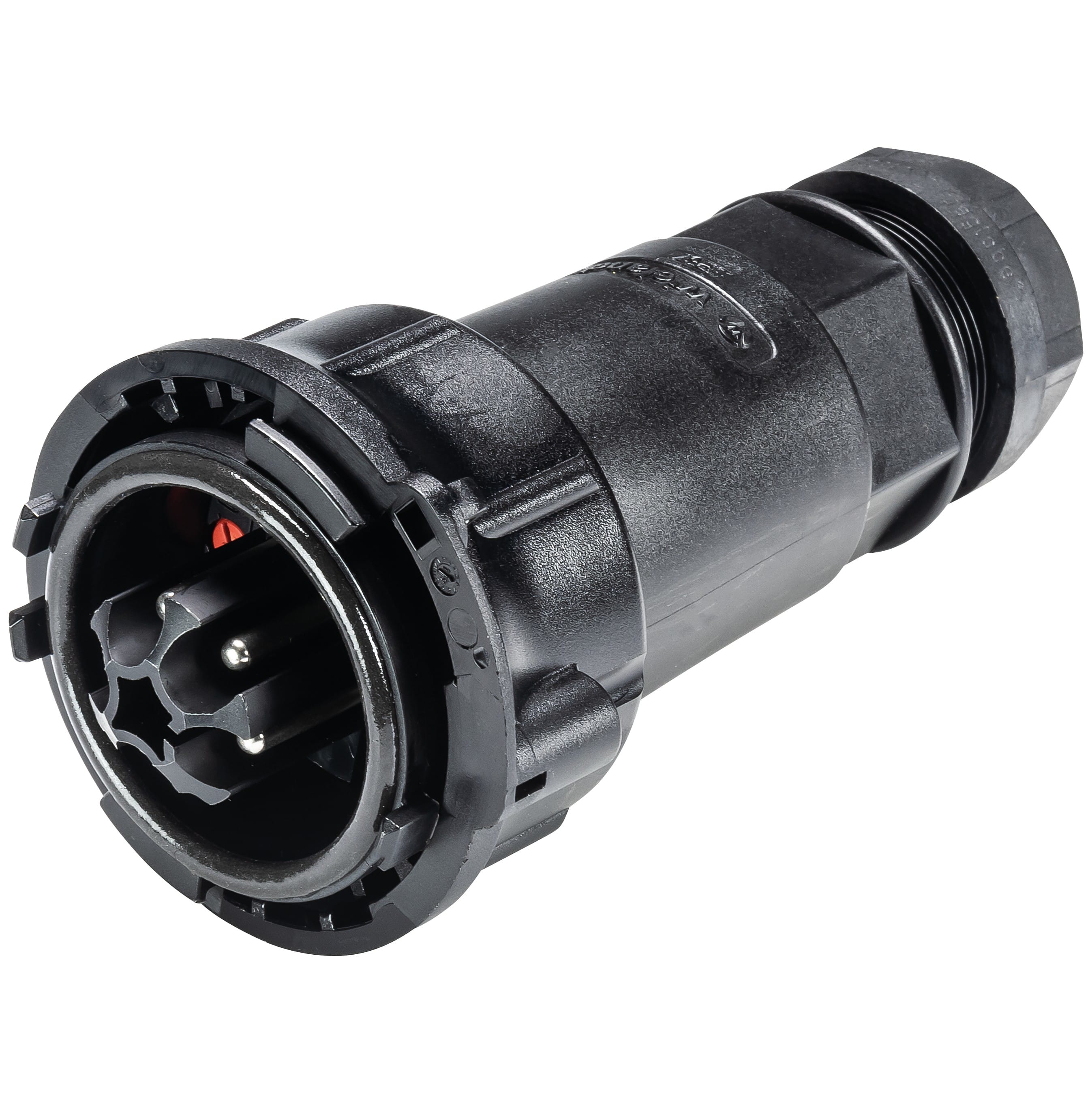 Wieland - connecteur RST50i4 mâle à vis 15-25mm Noir
