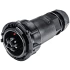 Wieland - connecteur RST50i4 mâle à vis 15-25mm Noir