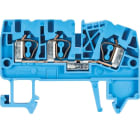 Wieland - borne jxt.de contwkf 2,5/d1/2/35 bleu