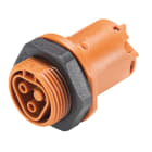 Wieland - embase RST20i2 M25 femelle à vis Marron