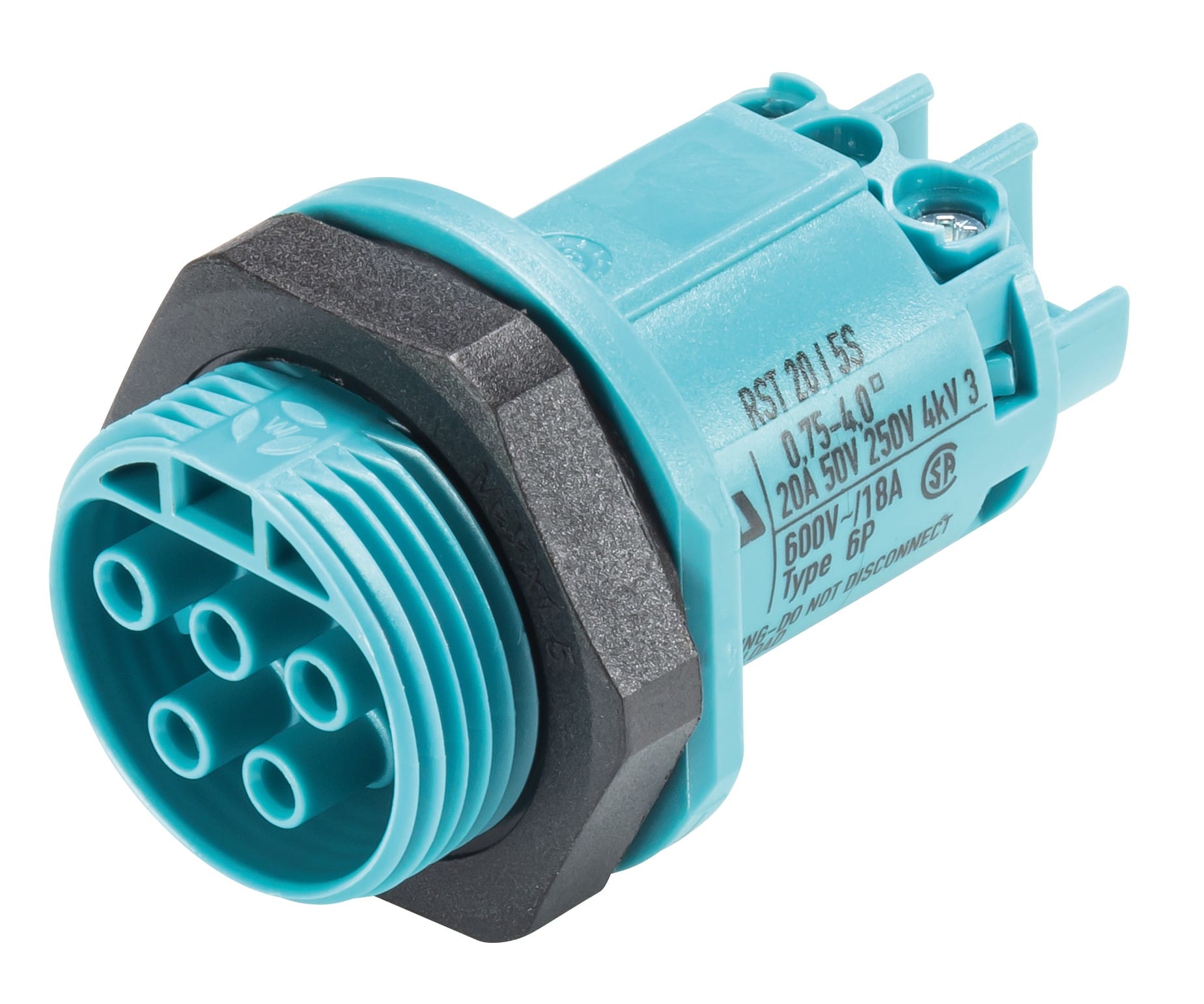 Wieland - embase RST20i5 femelle à vis M25 Turquoise