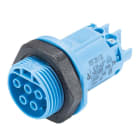 Wieland - embase RST20i5 femelle à vis M25 Bleu
