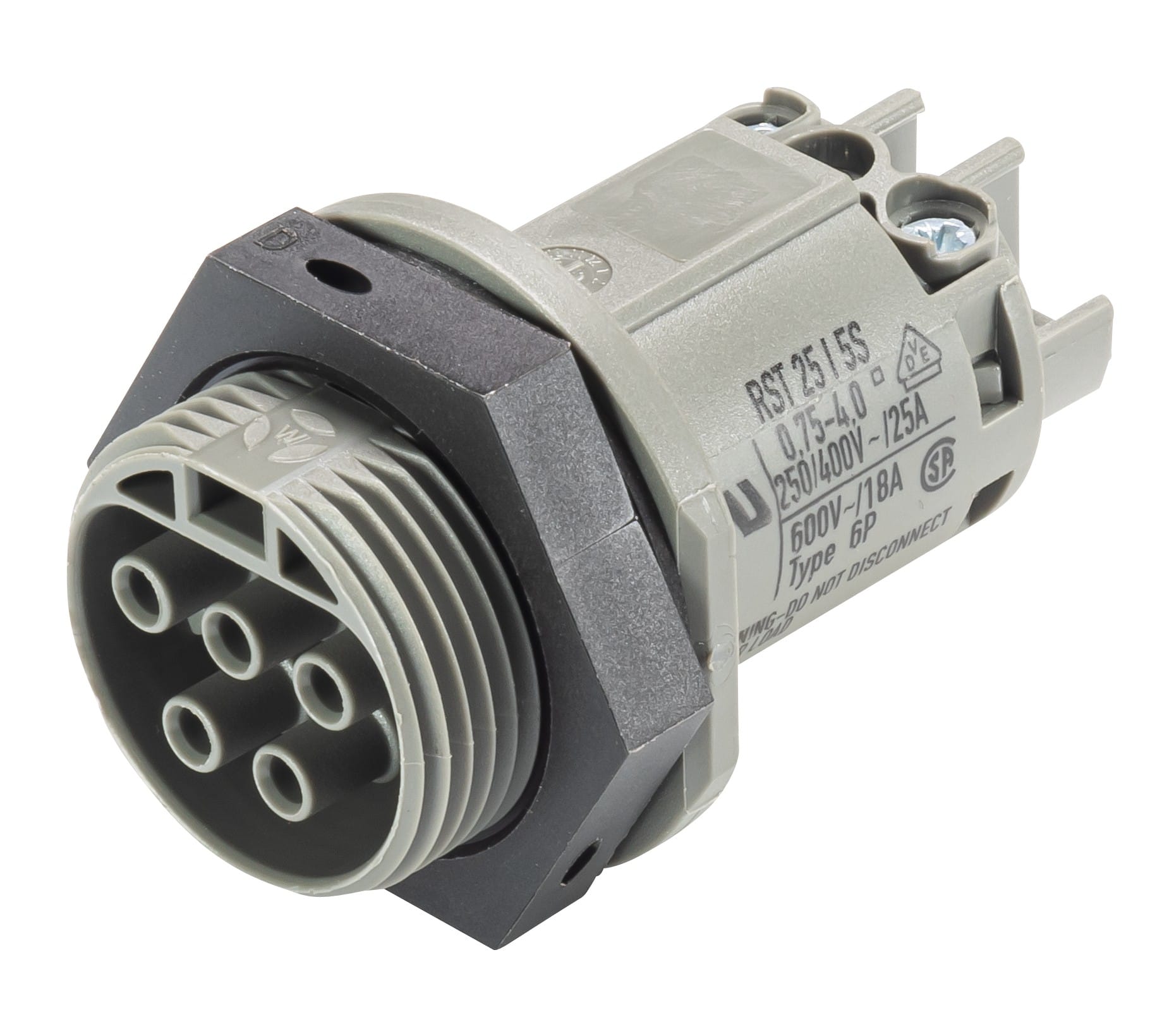 Wieland - embase RST25i5 femelle à vis M25 Gris