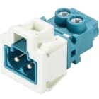 Wieland - embase GST15i2 mâle bleu pastel avec cadre blanc