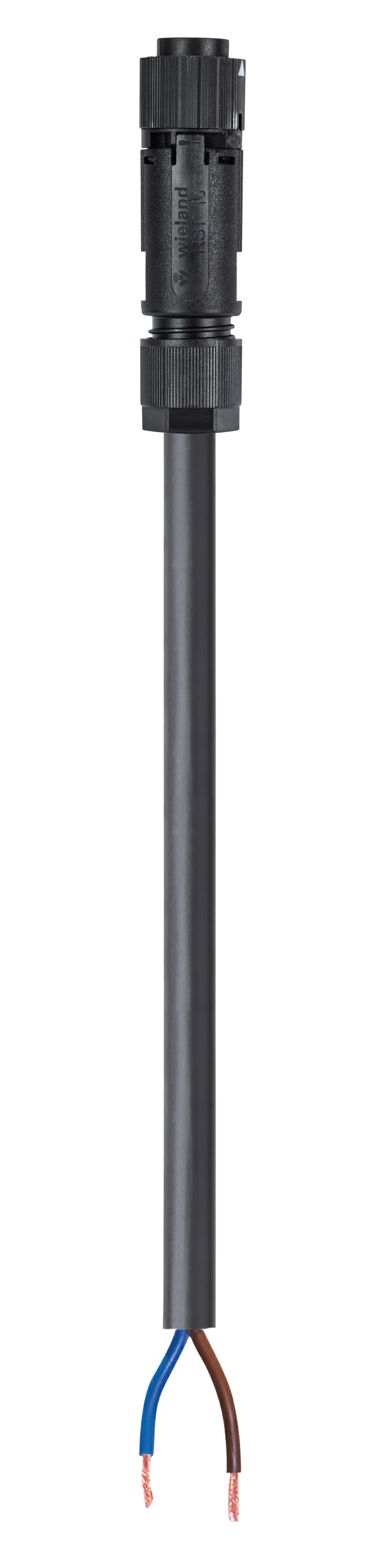 Wieland - Cordon RST16i2 0,5m F/- 1,5² HO5VVF Noir (Eca)