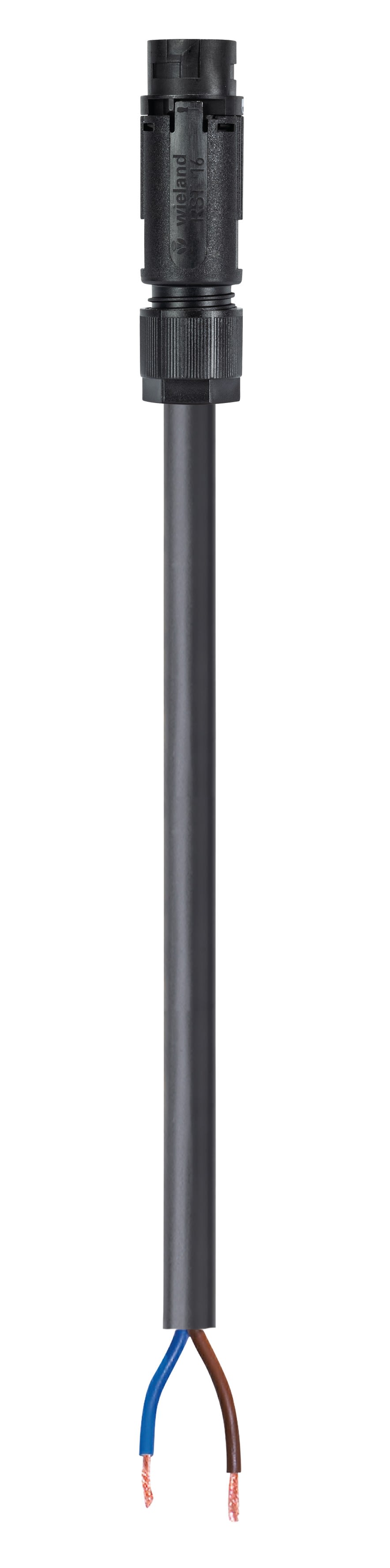 Wieland - cordon RST16i2 3m M/- 1,5² HO5VVF Noir (Eca)