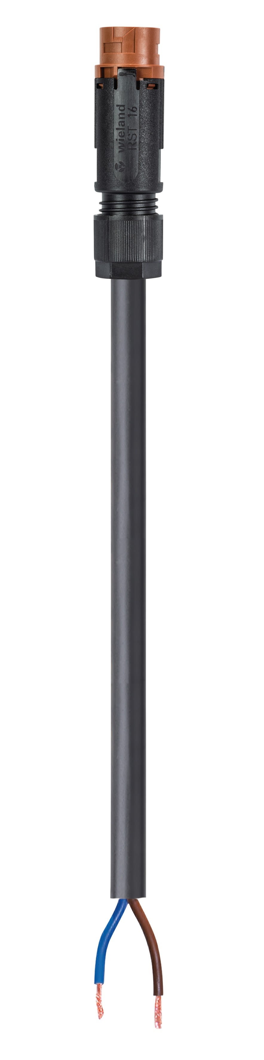 Wieland - cordon RST16i2 1m M/- 1,5² HO5VVF Marron (Eca)