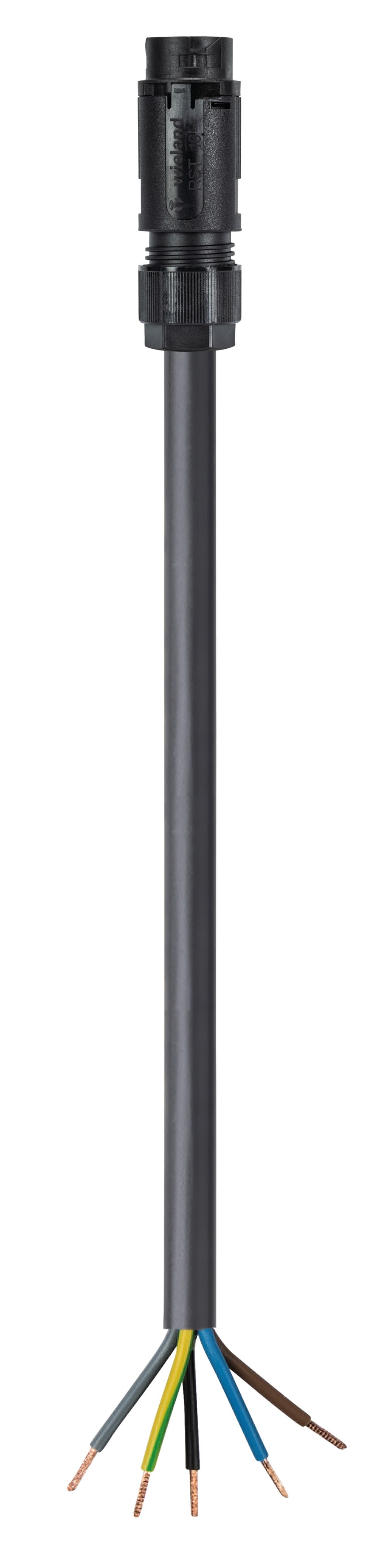 Wieland - Cordon RST16i5 1m M/- 1,5² HO5Z1Z1F Noir ss halogène (Eca)