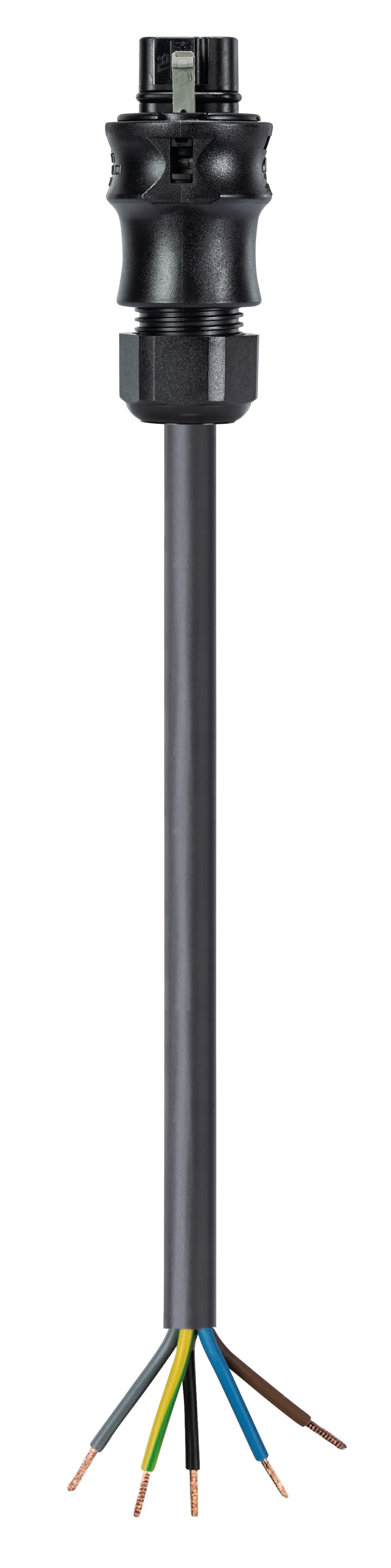 Wieland - cordon RST20i5 0,5m M/F 1,5² HO7RNF Noir