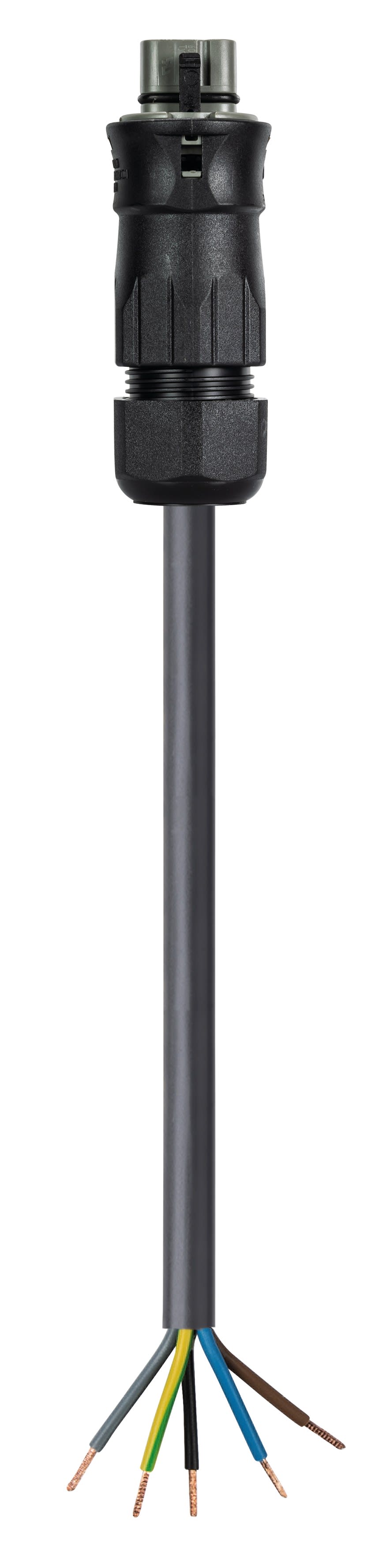 Wieland - Cordon RST25i5 0,5m M/- HO5Z1Z1-F 5G6²