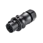 Wieland - connecteur RST20i3 femelle à ressort 6-10mm Noir