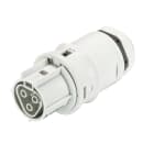 Wieland - embase RST20i3 femelle M20 à ressort Gris clair ATEX