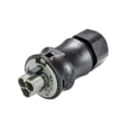 Wieland - connecteur RST25i3 mâle à vis 10-14mm Gris